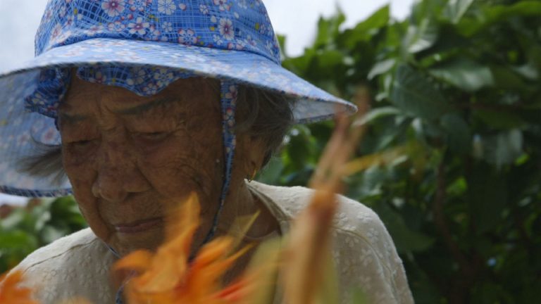 《綠色牢籠》影評 回顧了臺灣一段被遺忘的歷史